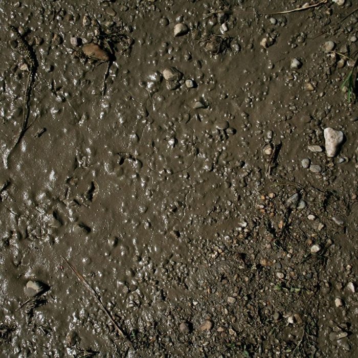 Terrains Wet Ground - immagine 2