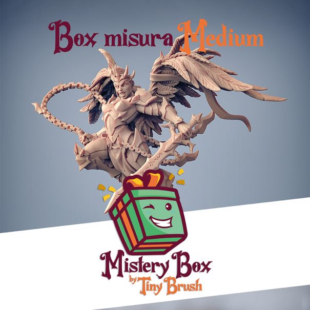 Mistery Box Medium