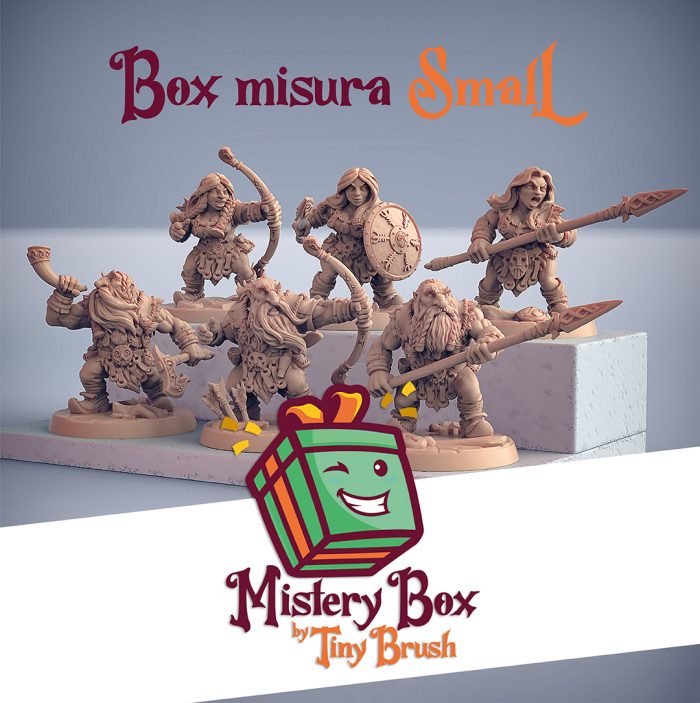 Mistery Box Small