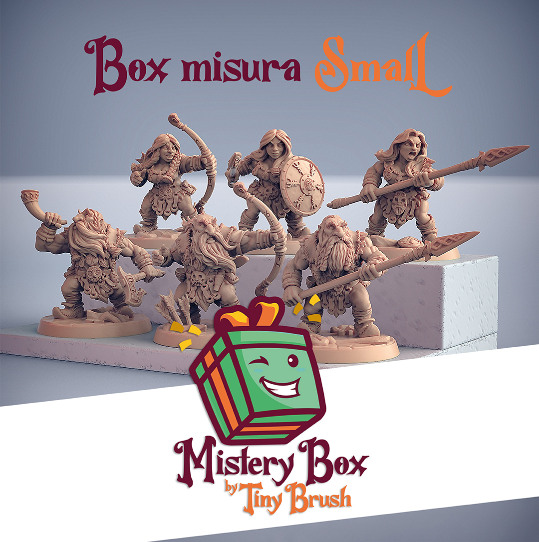 Mistery Box Small