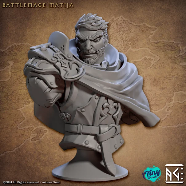 Battlemage Matija
