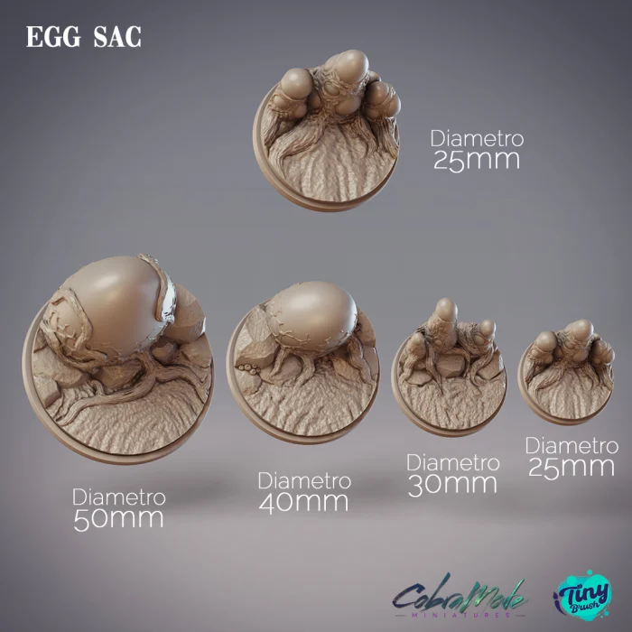 Egg Sac
