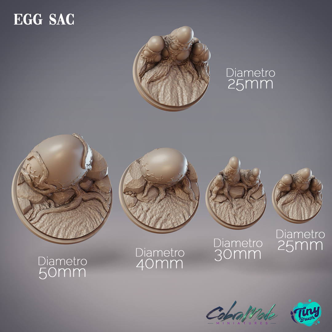 Egg Sac