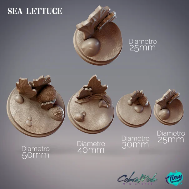 Sea Lettuce