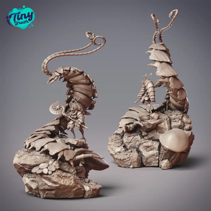 Setina - immagine 2